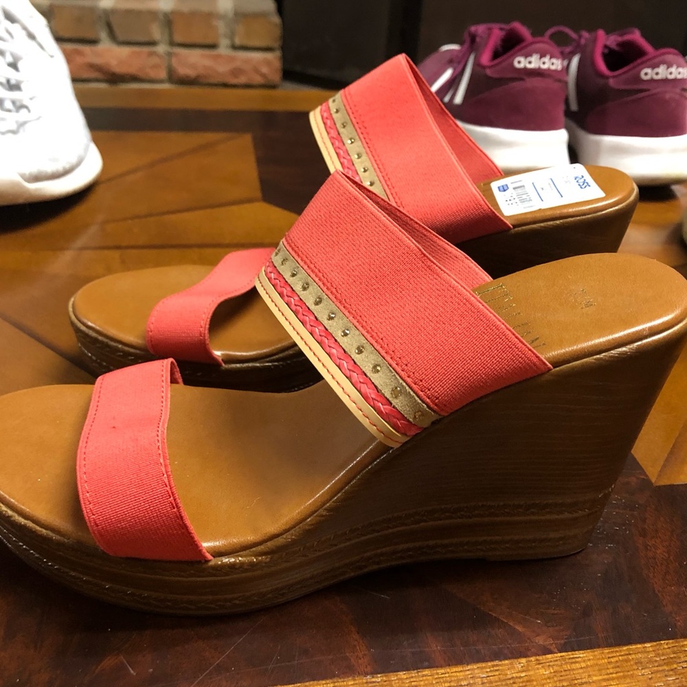 coral wedges